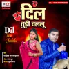 About Dil Tudi Chalalu Song