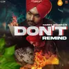 About Don'T Remind Song