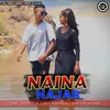 About Naina Najar Song