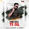 About Tere Naa Te Dil Song