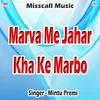 About Mar Karwayegi Chhauriya Song
