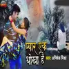 About Piyar Ek Dhokha Hain Song