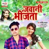 About Jawani Bheejata Song