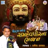 About Hits Of Ramapir Na Bhajan Song