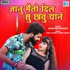 About Janu Meto Dil Su Chhavu Thane Song