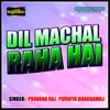 About Dil Machal Raha Hai Song