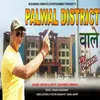 About Palwal District Wale Song