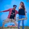 About Janu Meri Janeman Song