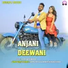 About Anjani Deewani Song