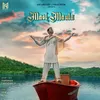 About Mast Maula Song