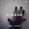 Pixash