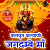 About Kalyug Kalyani Jagdambe Maa Song