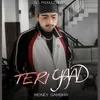 About Teri Yaad Song