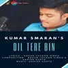 About Dil Tere Bin Song