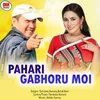 About Pahari Gabhoru Moi Song