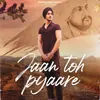 About Jaan Toh Pyaare Song