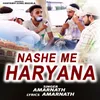 About Nashe Me Haryana Song