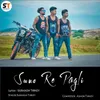 About Suno Re Pagli Song