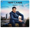 About Tere Laare Song