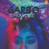 About Garbo Aayo Re Song