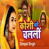 About Koshi Bhare Chalali Song