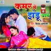 About Kamar Mein Jhandu Bam Song