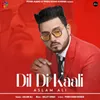 About Dil Di Kaali Song