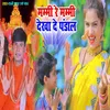 About Mammi Re Mammi Dekha De Pandal Song