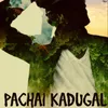 About Pachai Kadugal Song