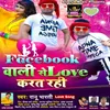 About Facebook Wali Se Love Karat Rahi Song