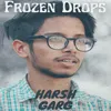 About Frozen Drops Song