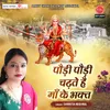 About Podi Podi Chadhte Hain Maa Ke Bhakt Song