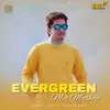 About Evergreen Mix Mashup Song