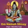 Om Namah Shivay