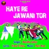 About Haye Re Jawani Tor Song