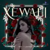 About Xewali Song