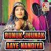 About Runuk Jhunuk Aave Nandiya Song