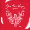 About Open Your Wings (Kuch Sadaf) Song