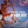 About Om Namah Shivay Song