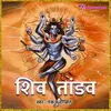 About Shiv Tandav Song