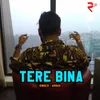 About Tere Bina Song