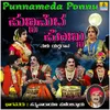 About Punnameda Ponnu, Pt.4 Song