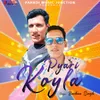 About Pyari Koyla Song