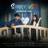 About Sorry Lo Song