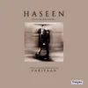 Haseen Lofi Mix (Sabir Version)