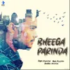 About Bheega Parinda Song