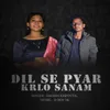About Dil Se Pyar Karlo Sanam Song