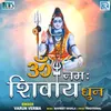 Om Namah Shivay Dhun