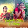 About Pakhita Boro E Jalay Song