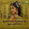 About Kannum Kannum Kalandhu Song